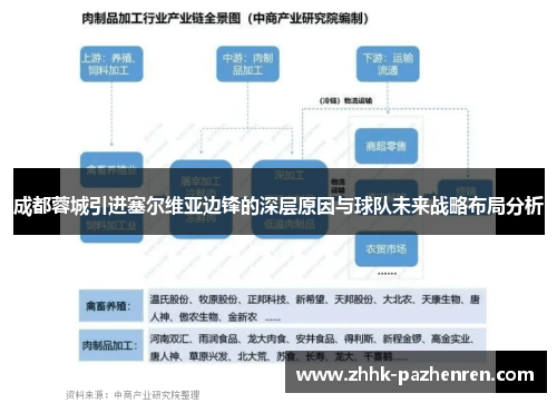 成都蓉城引进塞尔维亚边锋的深层原因与球队未来战略布局分析