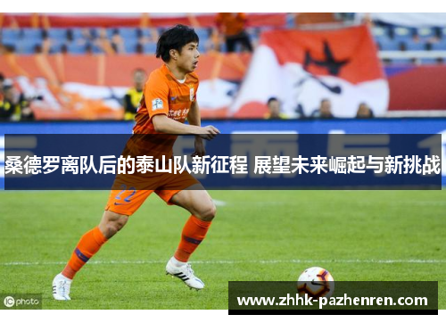 桑德罗离队后的泰山队新征程 展望未来崛起与新挑战