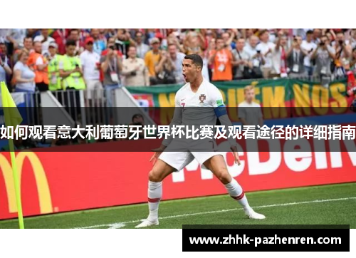 如何观看意大利葡萄牙世界杯比赛及观看途径的详细指南