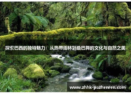 探索巴西的独特魅力:从热带雨林到桑巴舞的文化与自然之美 探索巴西的独特魅力:从热带雨林到桑巴舞的文化与自然之美