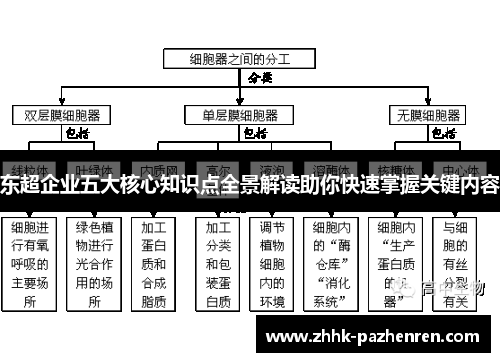 东超企业五大核心知识点全景解读助你快速掌握关键内容 东超企业五大核心知识点全景解读助你快速掌握关键内容