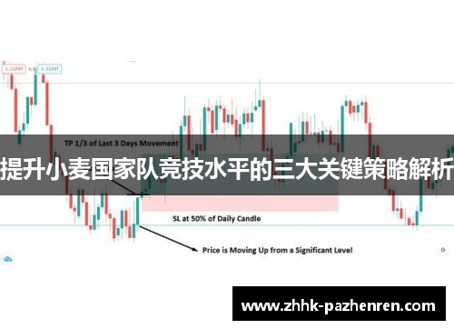 提升小麦国家队竞技水平的三大关键策略解析